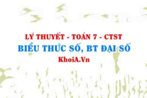 Biểu thức số, biểu thức đại số là gì? giá trị của biểu thức đại số là gì?